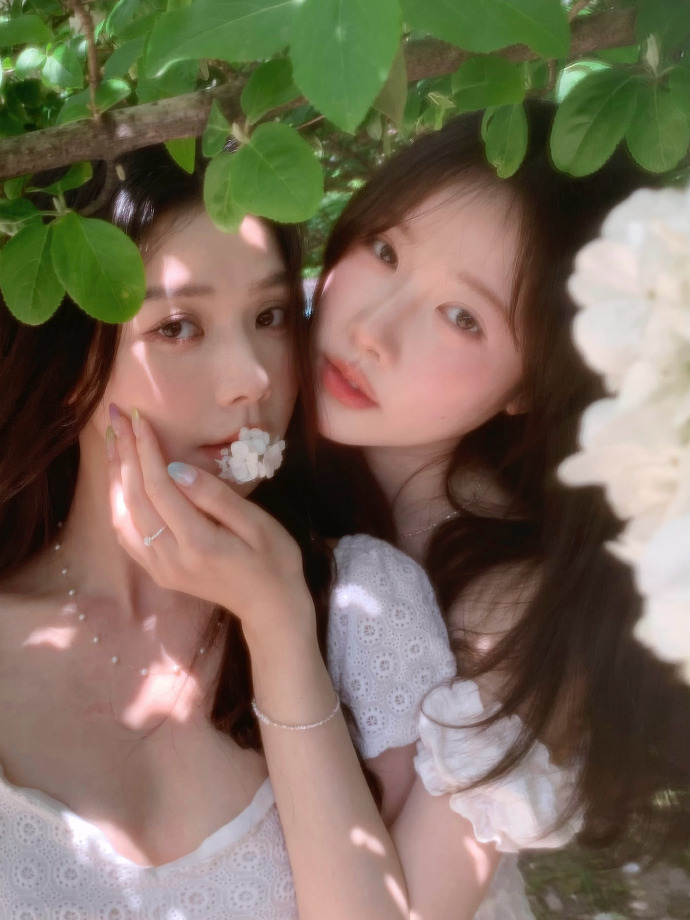 大明王朝1566 封面